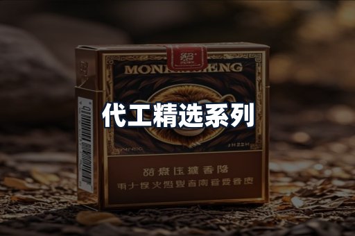 代工精选系列